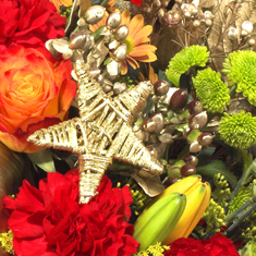 Special Offer Christmas Florist Choice  