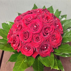 Wicked Love 24 roses