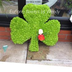 Shamrock 