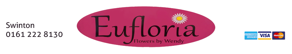 Eufloria Flowers by Wendy